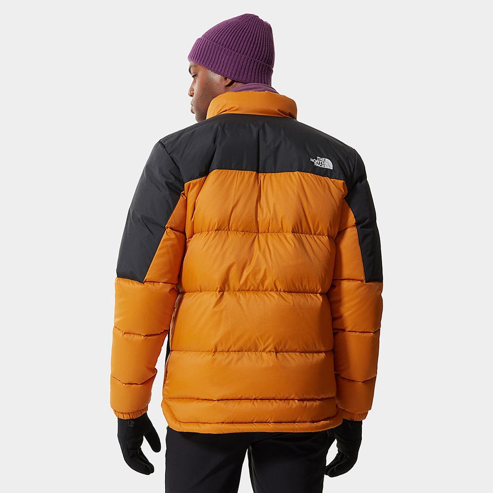 Páperová Bunda The North Face Diablo Panske Žlté Čierne | MYW-514287