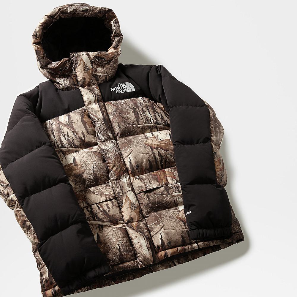 Páperová Bunda The North Face Himalayan Panske Hnede | PWF-713965