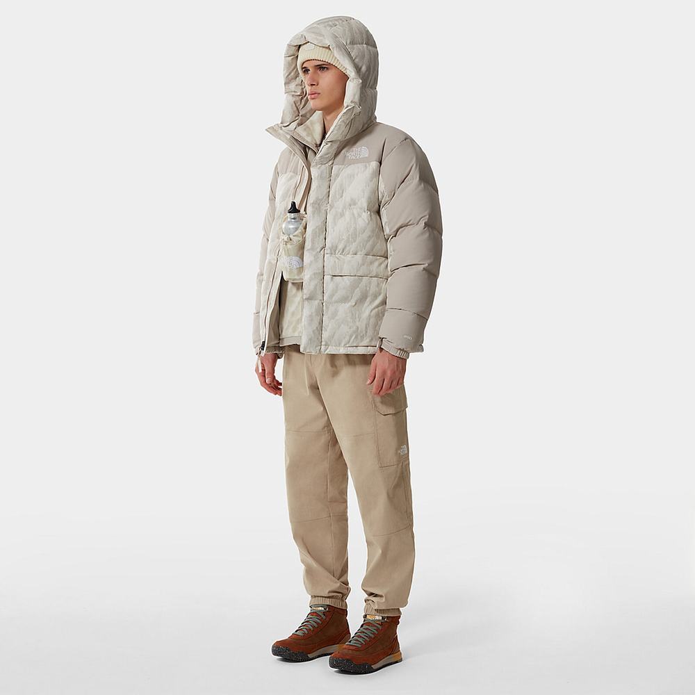 Páperová Bunda The North Face PRINTED HIMALAYAN DOWN Panske Strieborne Siva | NKE-204369