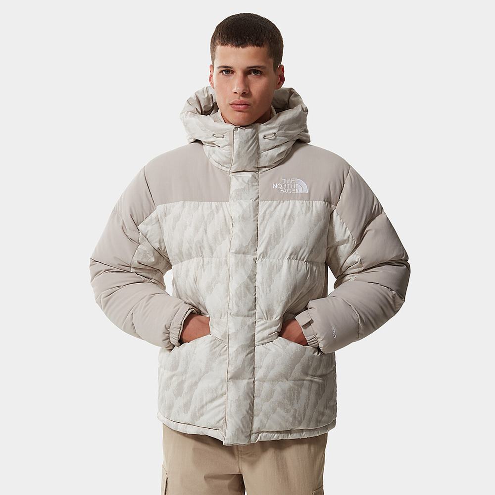 Páperová Bunda The North Face PRINTED HIMALAYAN DOWN Panske Strieborne Siva | NKE-204369