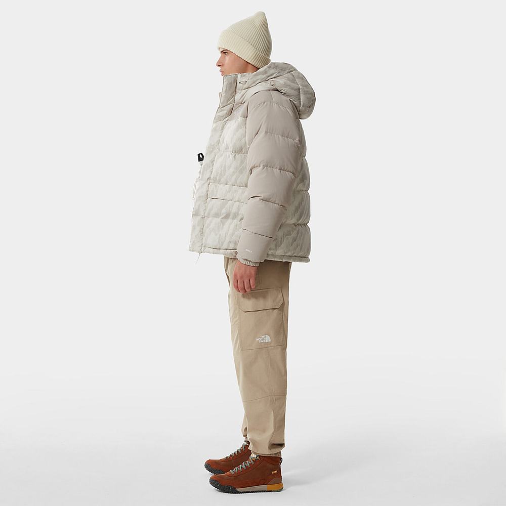 Páperová Bunda The North Face PRINTED HIMALAYAN DOWN Panske Strieborne Siva | NKE-204369