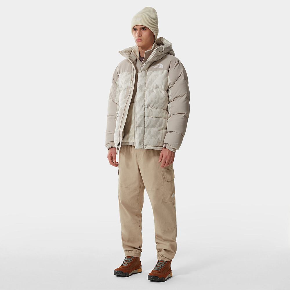 Páperová Bunda The North Face PRINTED HIMALAYAN DOWN Panske Strieborne Siva | NKE-204369
