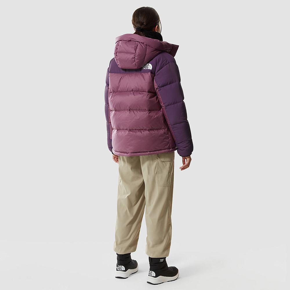 Páperové bundy The North Face Himalayan Damske Čierne Nachový | MVH-168043