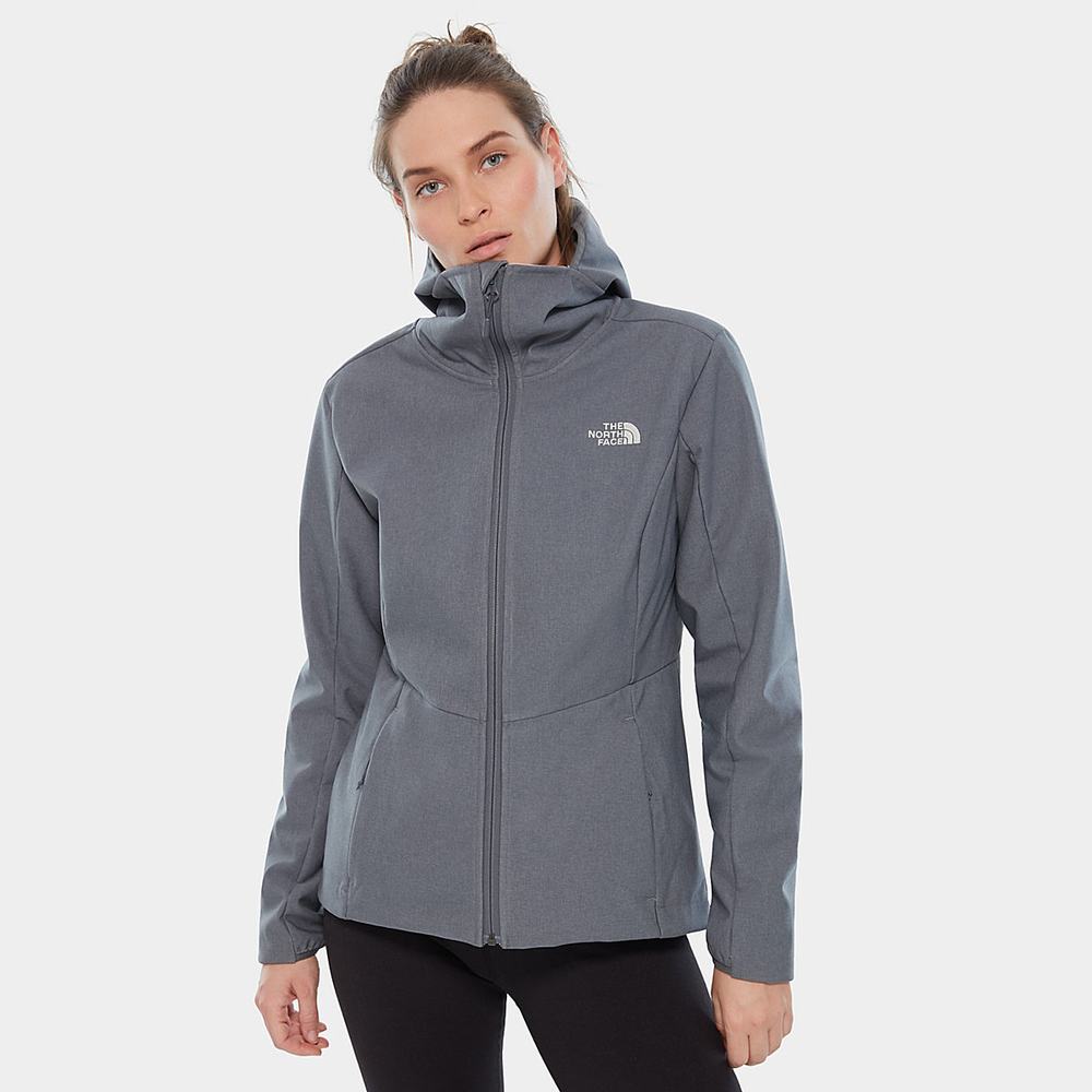 Softshellová Bunda The North Face Quest Highloft Softshell Damske Siva | HBX-708152