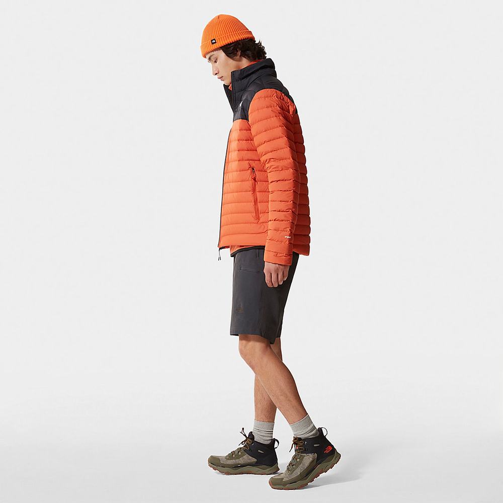 Sortky The North Face Exploration Panske Siva | RYU-817693