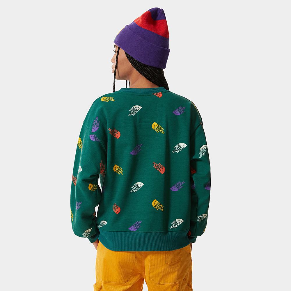 Svetre The North Face Colour Block Cropped Damske Zelene | MGS-718436