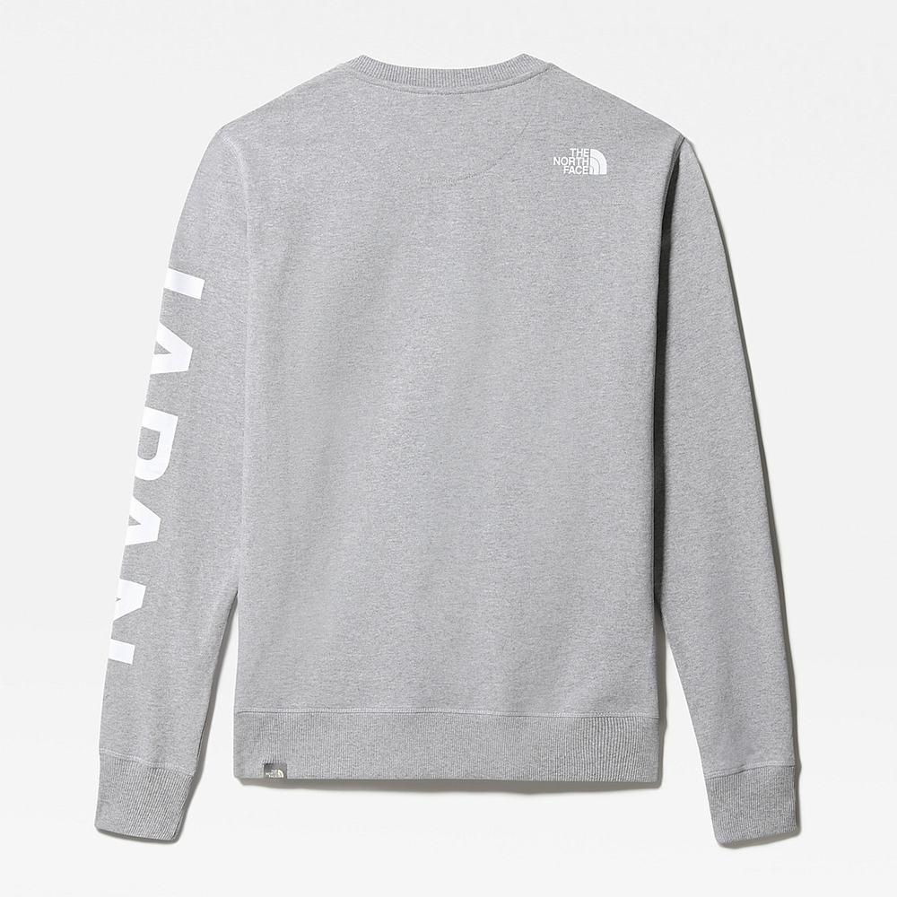 Svetre The North Face INTERNATIONAL COLLECTION Panske Svetlo Siva | JBI-652418