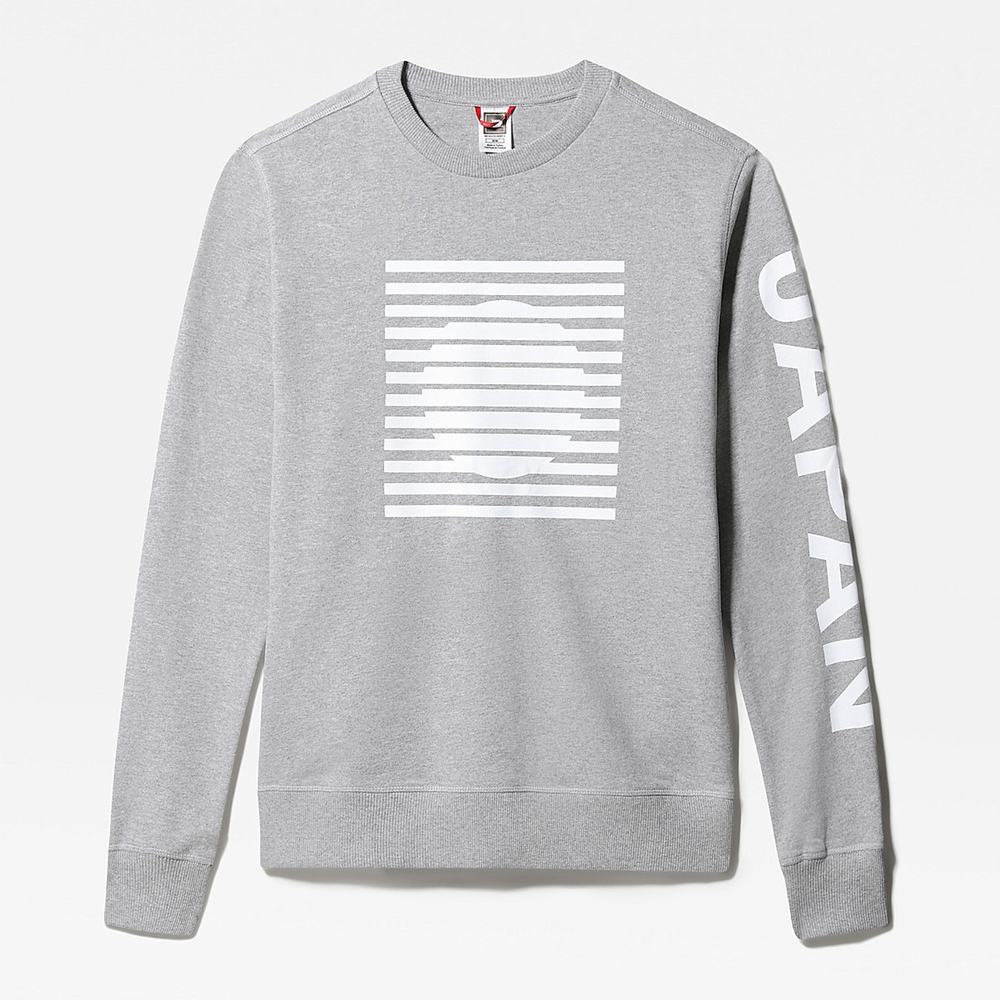 Svetre The North Face INTERNATIONAL COLLECTION Panske Svetlo Siva | JBI-652418