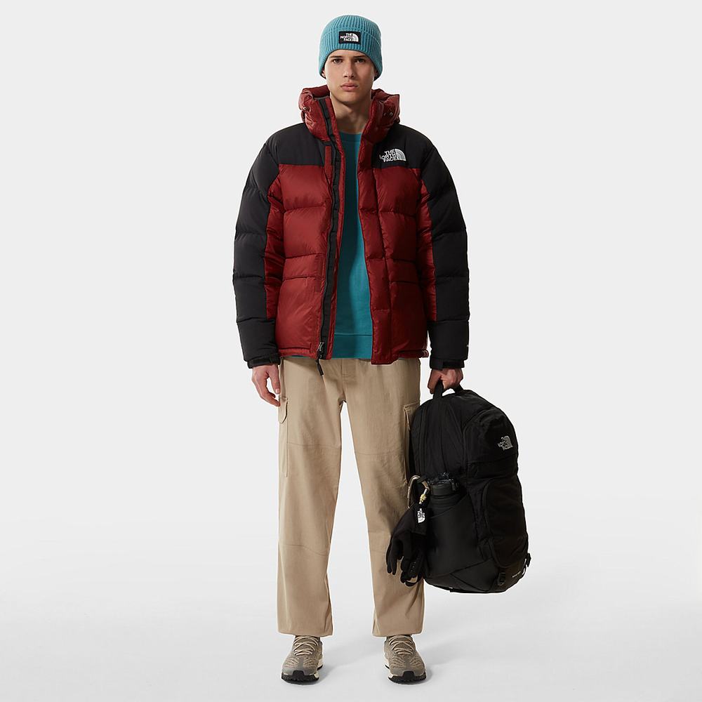 Svetre The North Face Raglan Redbox Panske Modre | CWG-647195