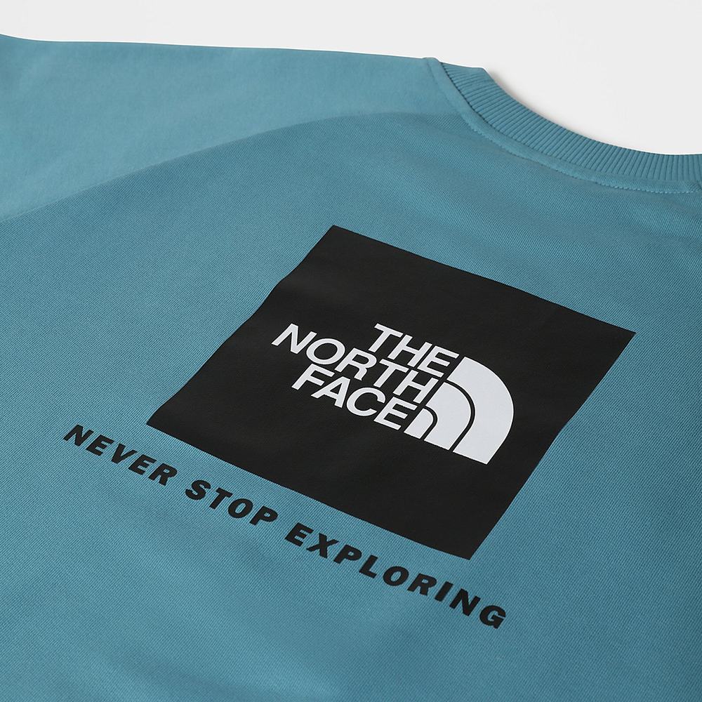 Svetre The North Face Raglan Redbox Panske Modre | CWG-647195