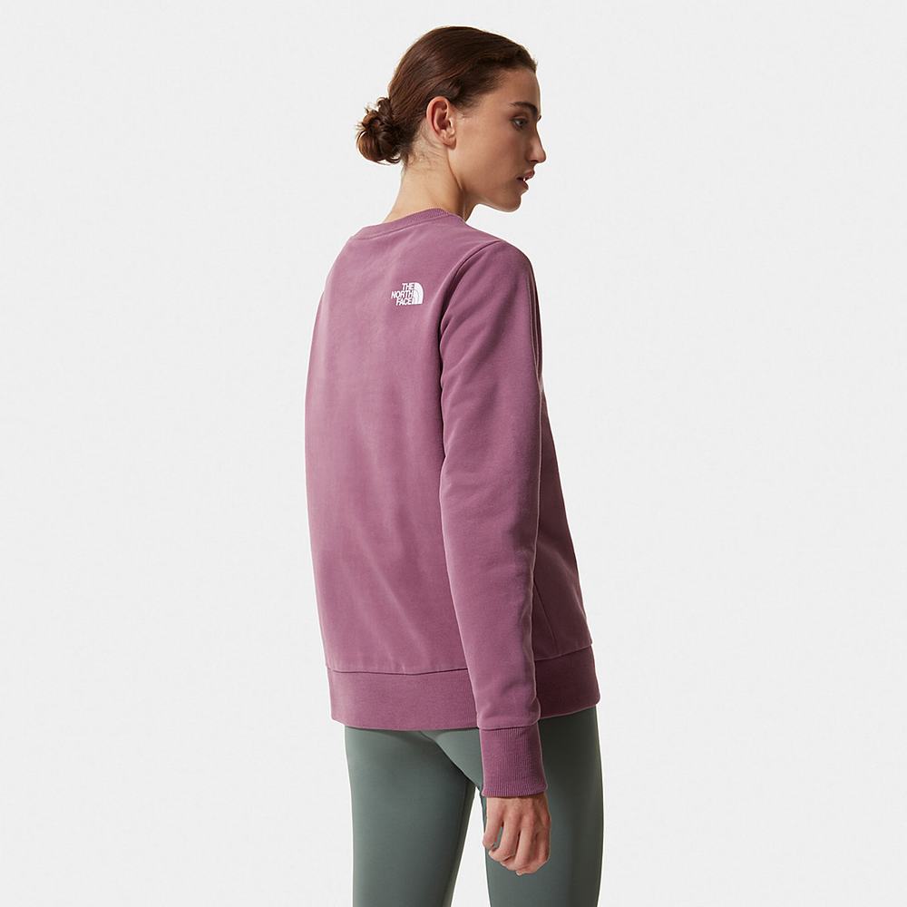Svetre The North Face Standard Damske Nachový | WZY-124890