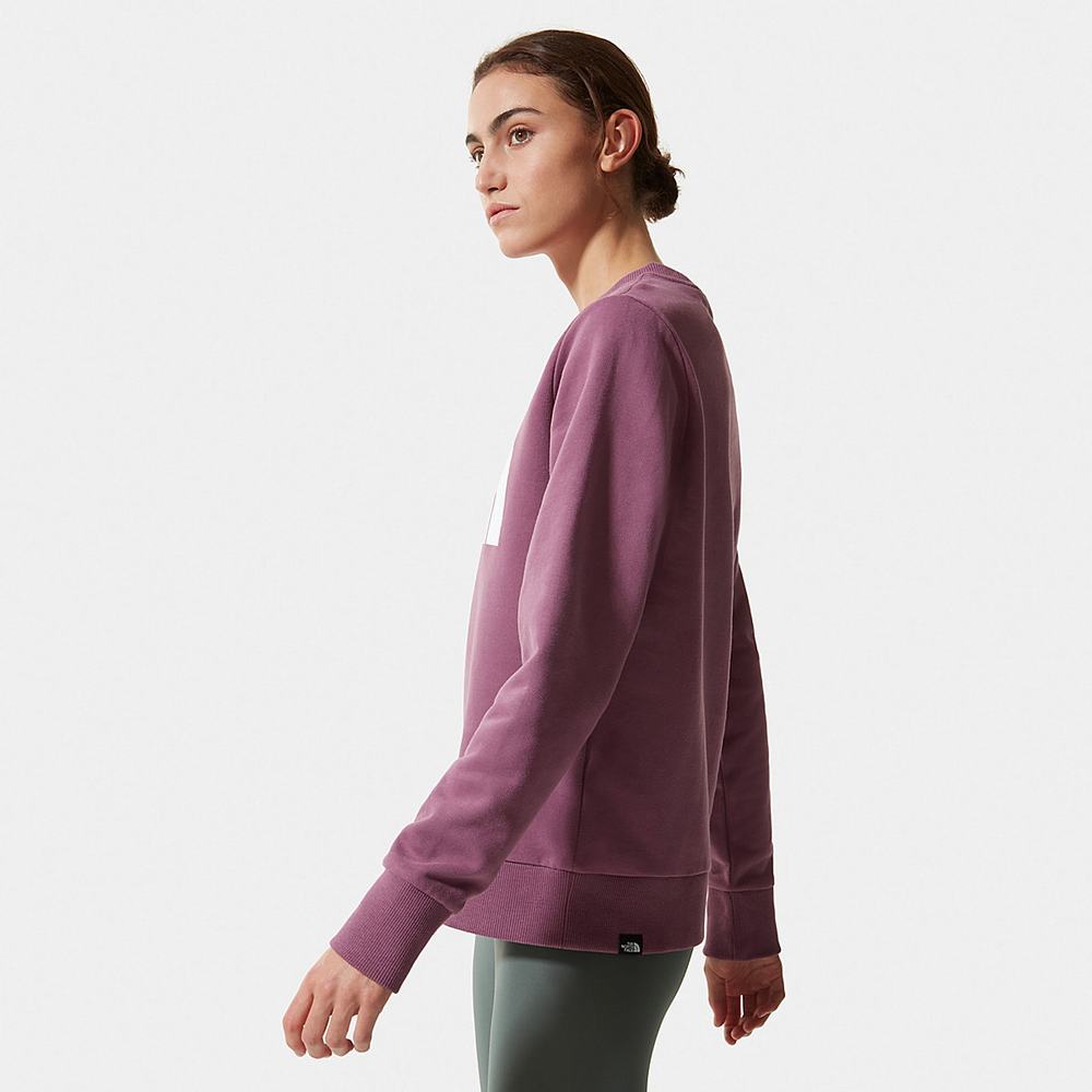 Svetre The North Face Standard Damske Nachový | WZY-124890