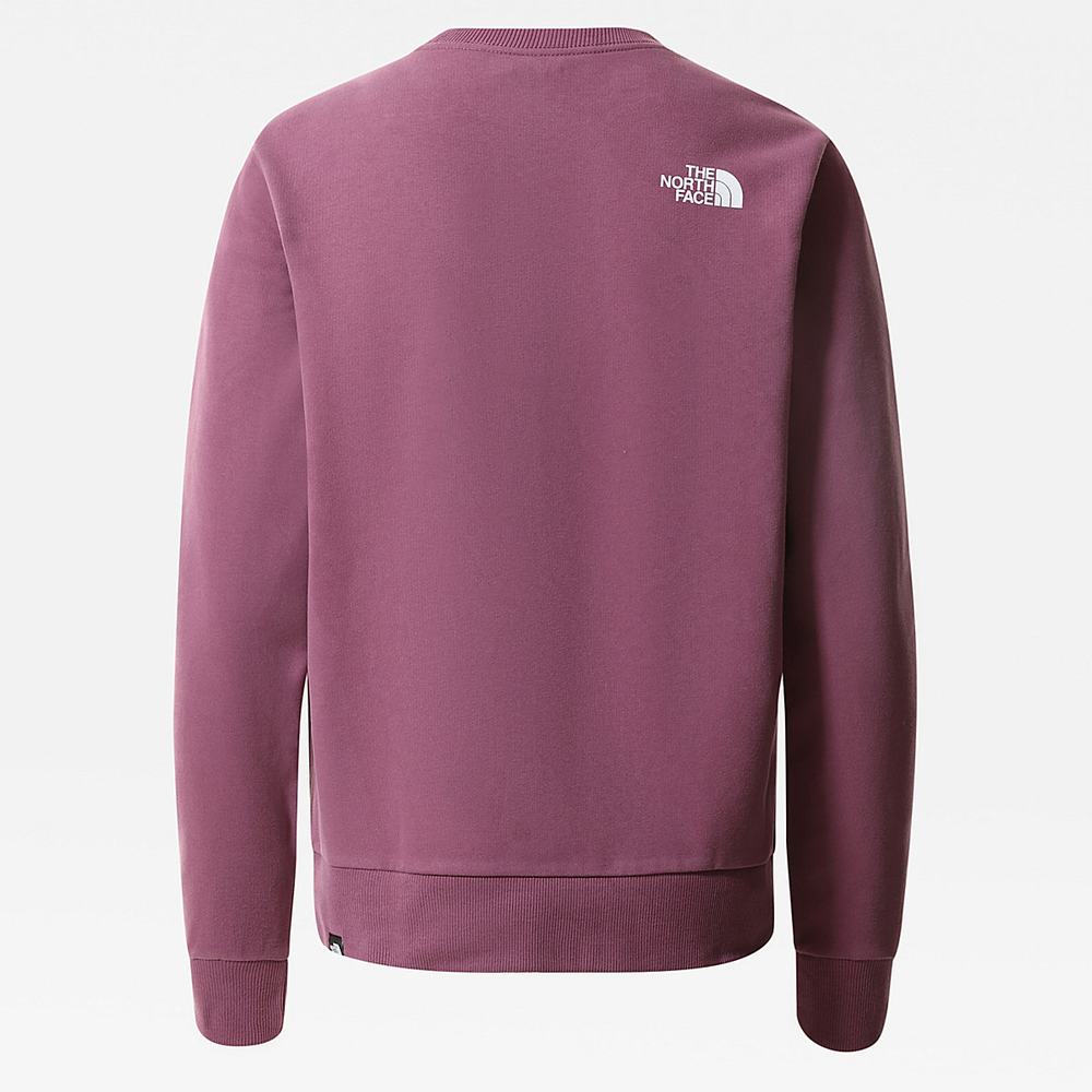 Svetre The North Face Standard Damske Nachový | WZY-124890