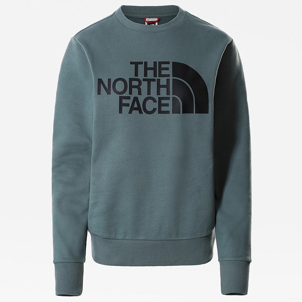 Svetre The North Face Standard Damske Zelene | XKP-510973