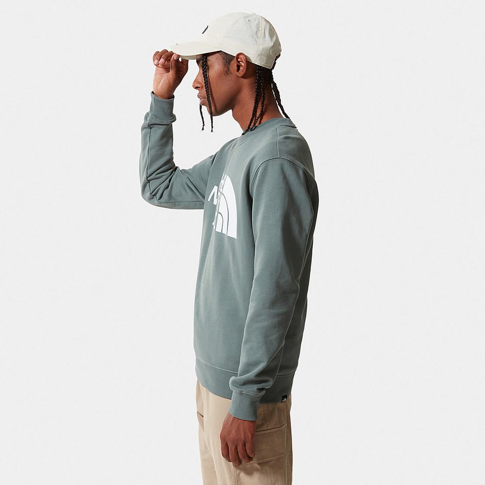 Svetre The North Face Standard Panske Zelene | KHA-201643
