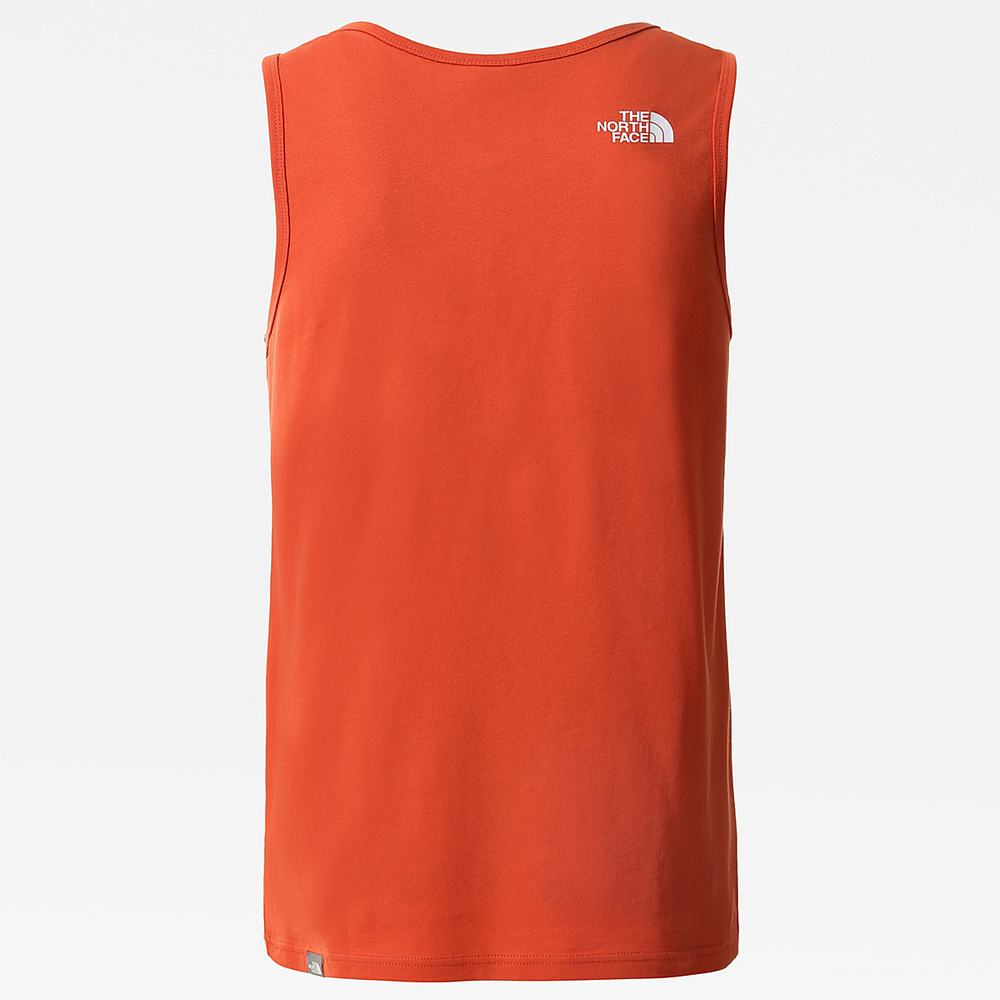 Tielko The North Face Summer Panske Oranžové | IBC-135607