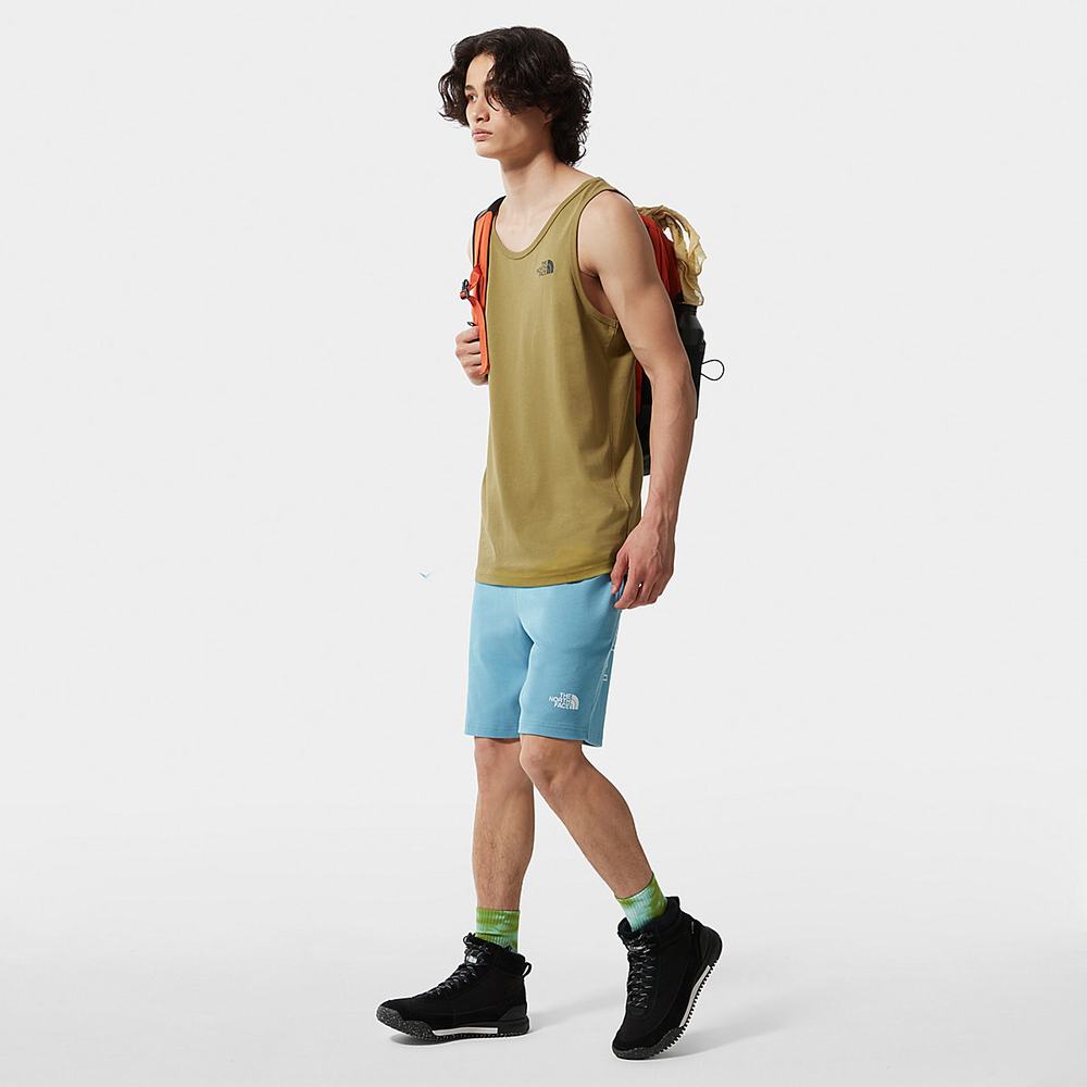 Tielko The North Face Summer Panske Zelene | BDK-395028