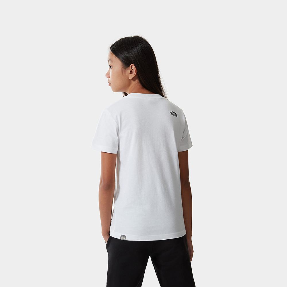 Tricko The North Face Box Chlapcenske Červené Biele Oranžové | RJM-172538