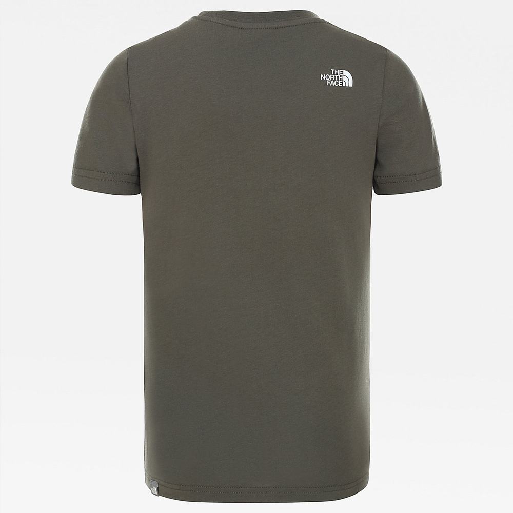 Tricko The North Face Box Dievcenske Zelene Biele | YZD-306521