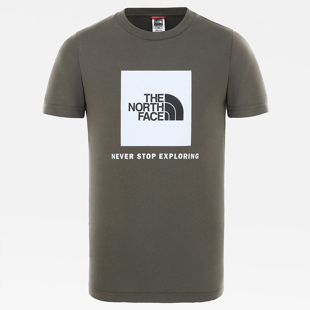 Tricko The North Face Box Dievcenske Zelene Biele | YZD-306521
