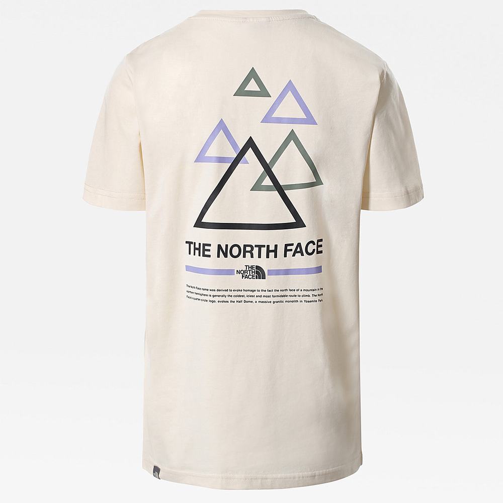 Tricko The North Face Boyfriend Triangle Damske Biele Zelene Lavendel | PRJ-519023