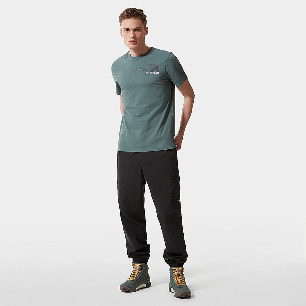 Tricko The North Face COORDINATES Panske Zelene | HYD-065437