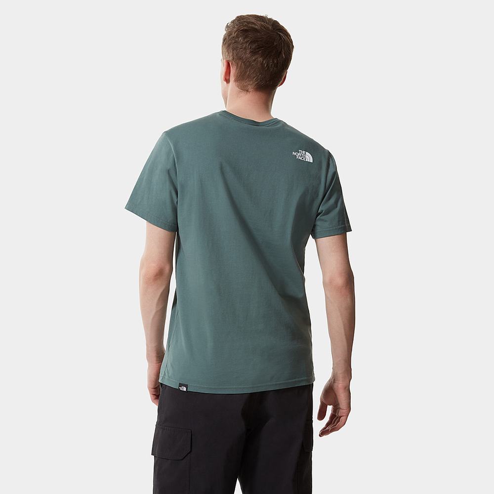Tricko The North Face COORDINATES Panske Zelene | HYD-065437