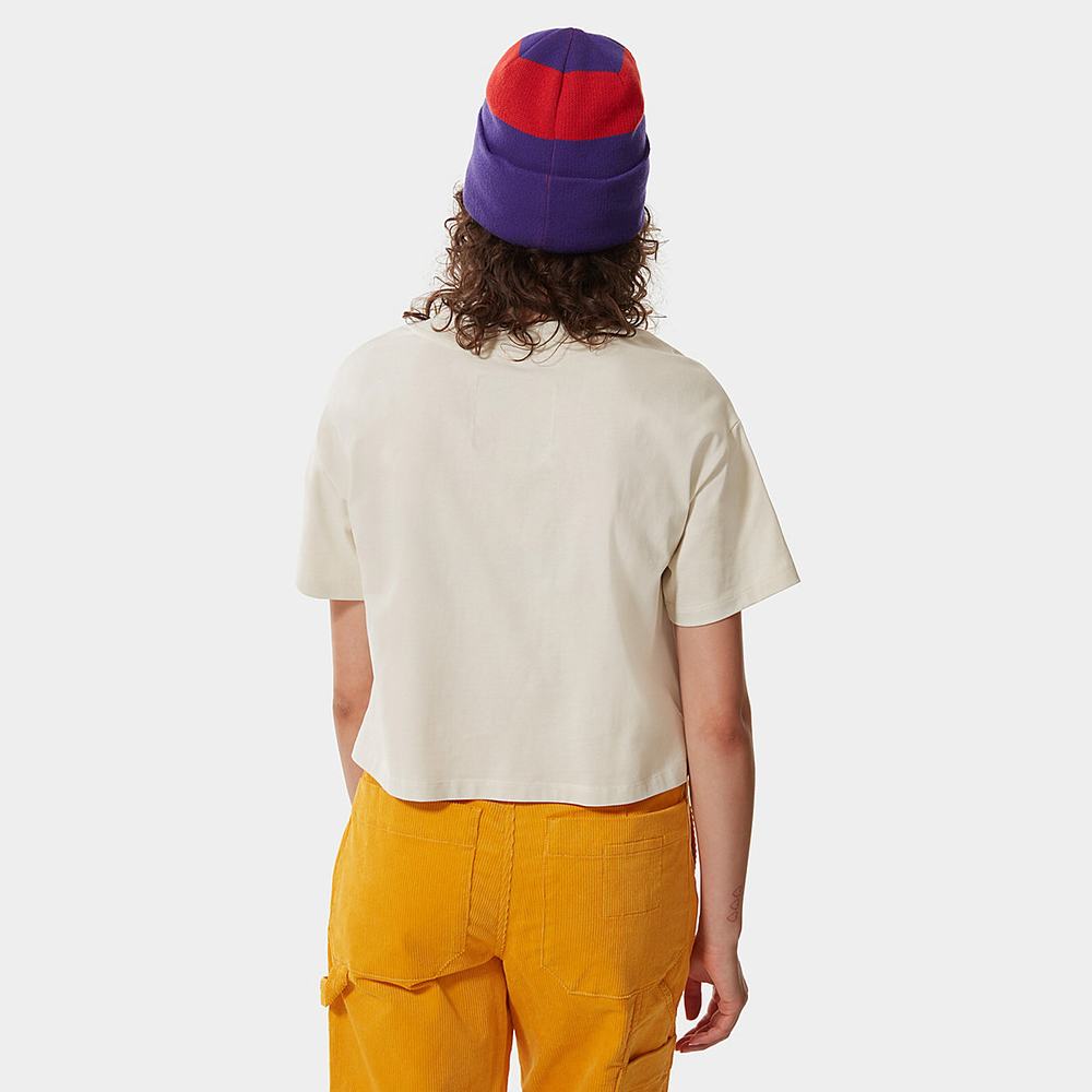 Tricko The North Face Colour Block Cropped Damske Biele | HAW-826049