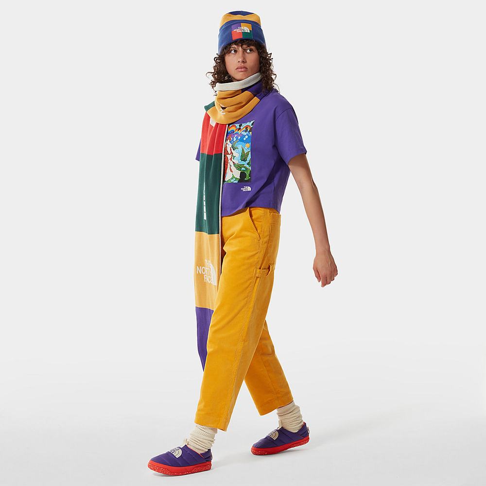 Tricko The North Face Colour Block Cropped Damske Nachový | JYA-614829