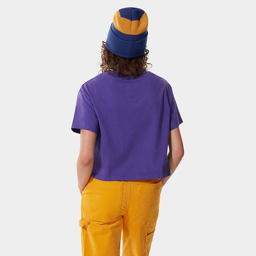 Tricko The North Face Colour Block Cropped Damske Nachový | JYA-614829