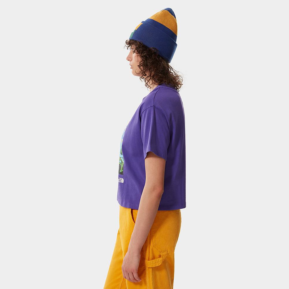 Tricko The North Face Colour Block Cropped Damske Nachový | JYA-614829