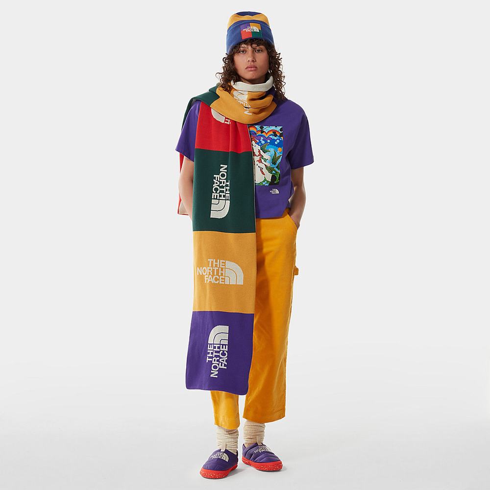 Tricko The North Face Colour Block Cropped Damske Nachový | JYA-614829