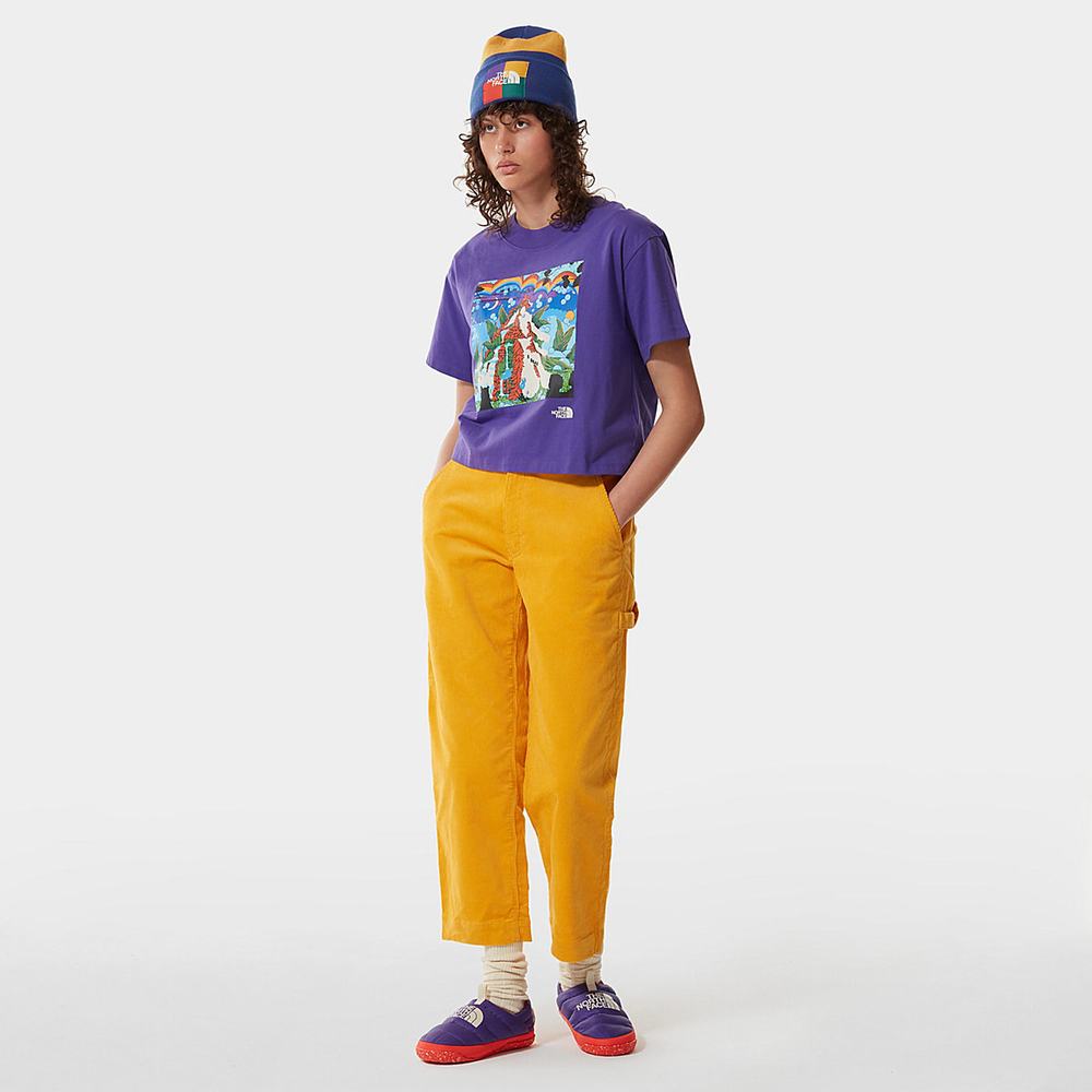 Tricko The North Face Colour Block Cropped Damske Nachový | JYA-614829
