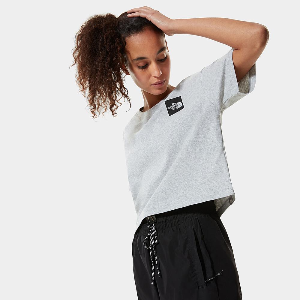 Tricko The North Face Cropped Fine Damske Svetlo Siva | KWJ-901423