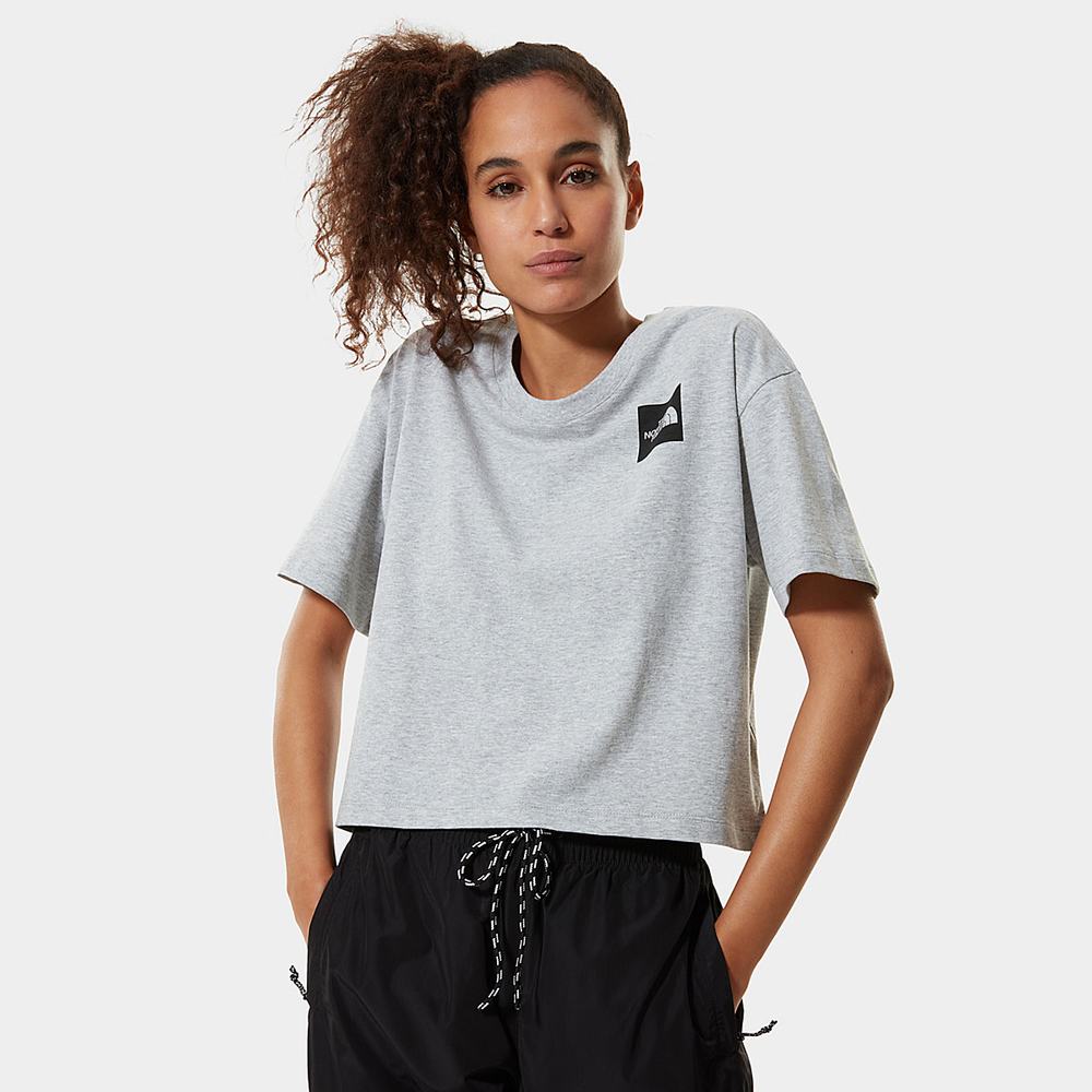 Tricko The North Face Cropped Fine Damske Svetlo Siva | KWJ-901423