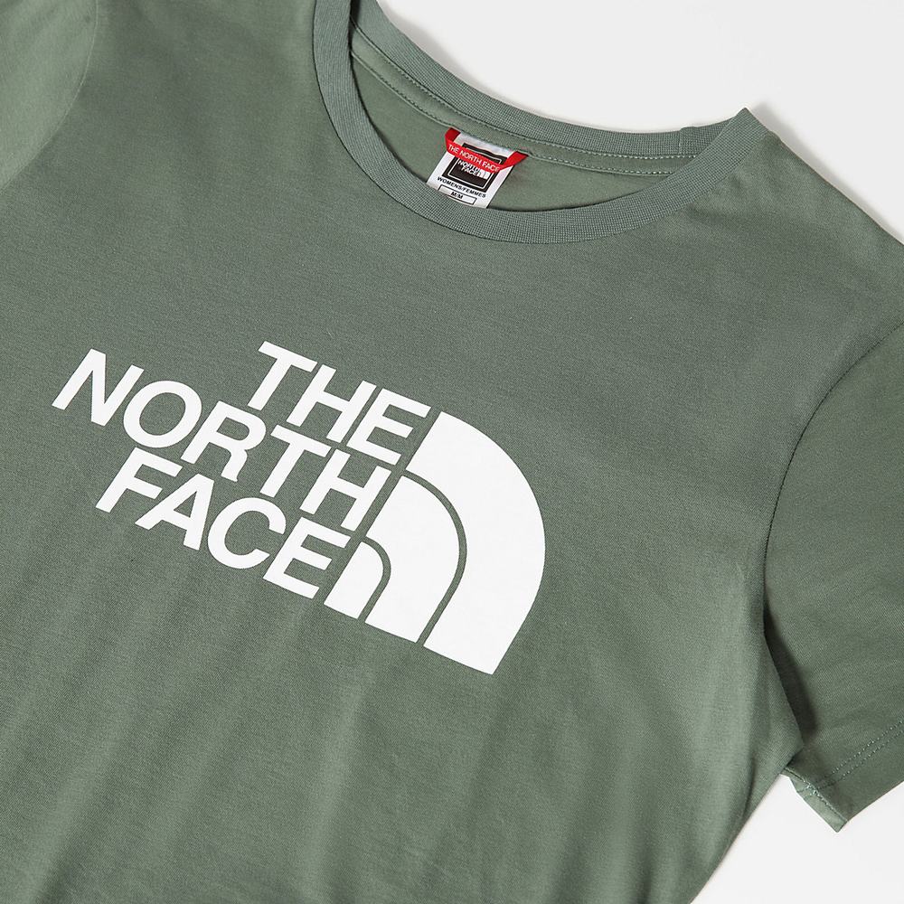Tricko The North Face Easy Damske Zelene | LOA-398061