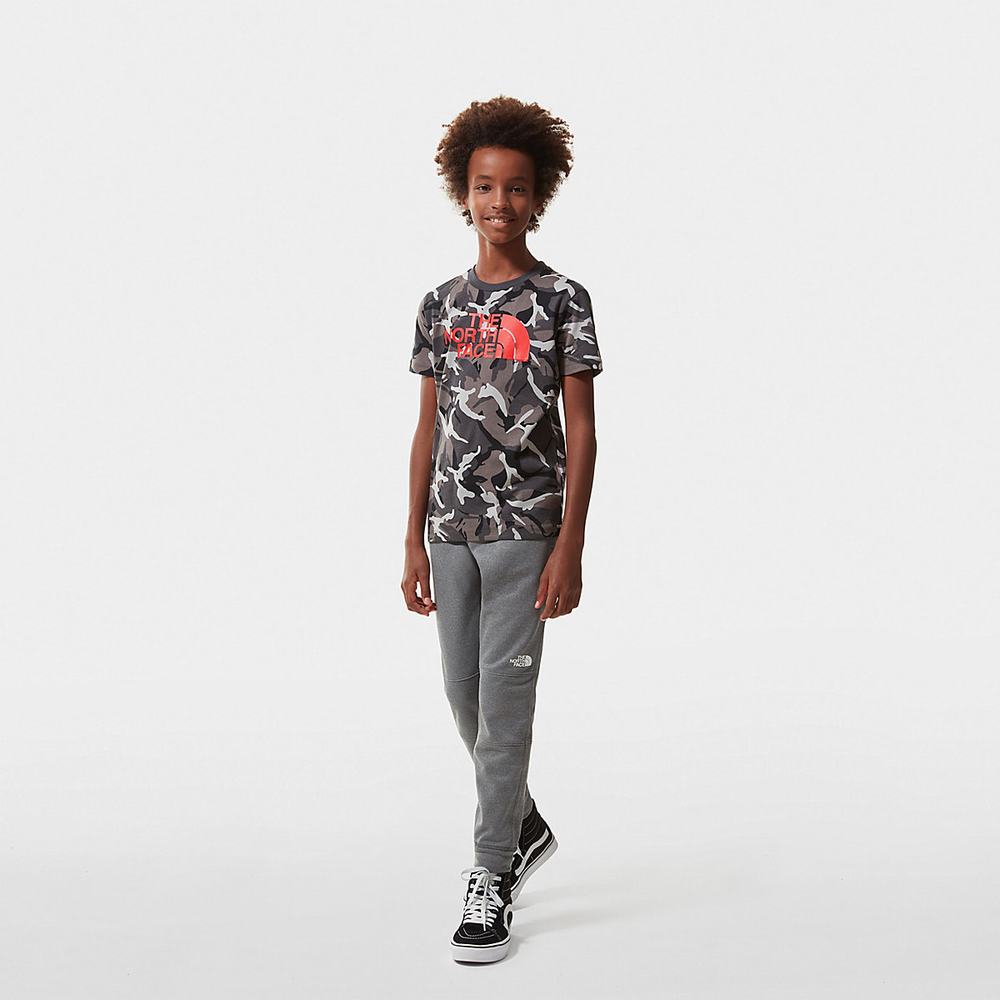 Tricko The North Face Easy Kratke-Sleeve Chlapcenske Siva Maskacove | AKM-274805