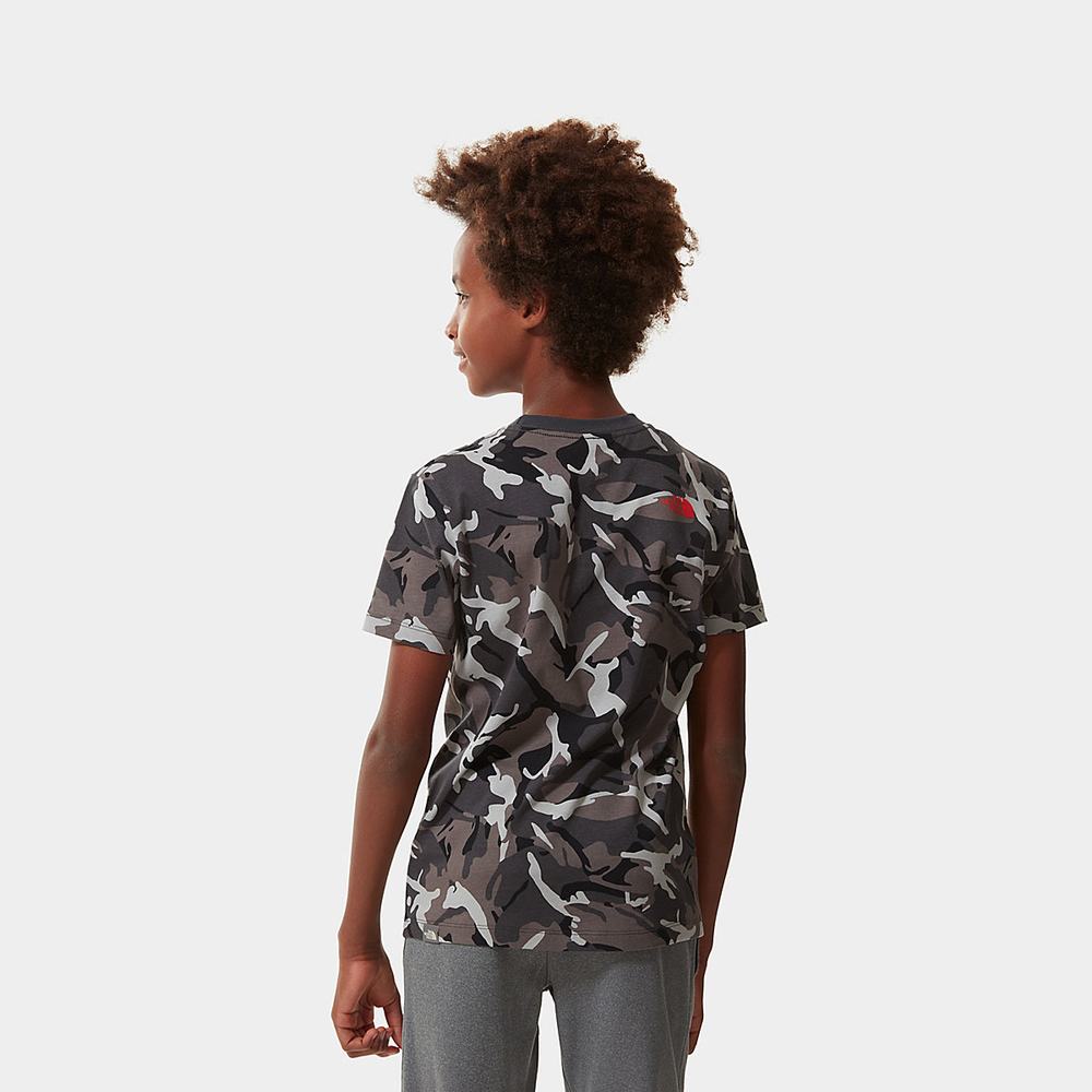 Tricko The North Face Easy Kratke-Sleeve Chlapcenske Siva Maskacove | AKM-274805