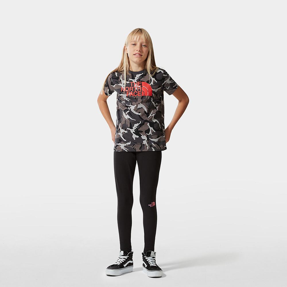 Tricko The North Face Easy Kratke-Sleeve Chlapcenske Siva Maskacove | AKM-274805
