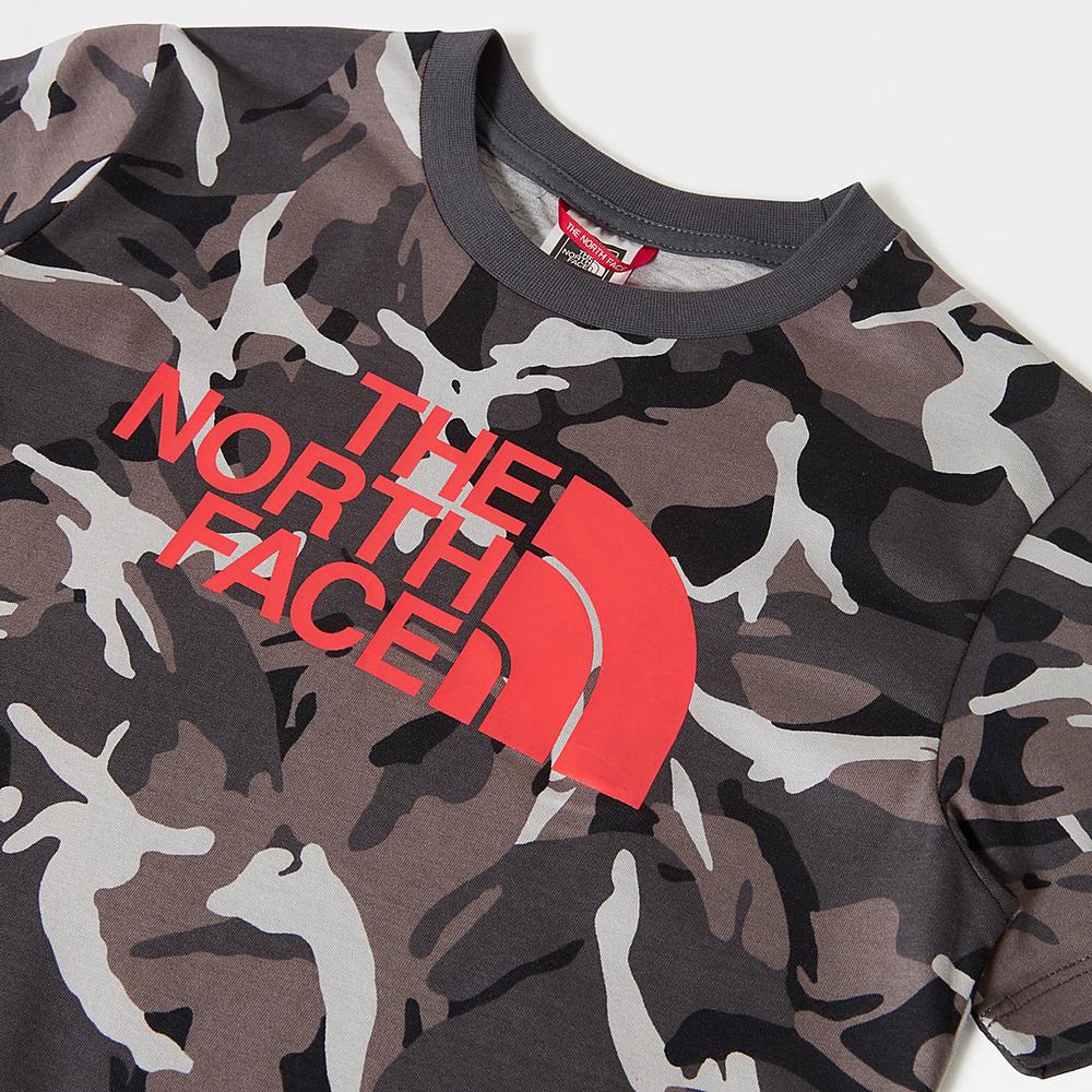 Tricko The North Face Easy Kratke-Sleeve Chlapcenske Siva Maskacove | AKM-274805