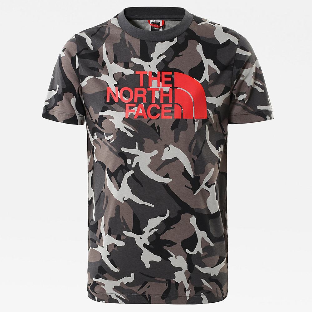 Tricko The North Face Easy Kratke-Sleeve Chlapcenske Siva Maskacove | AKM-274805