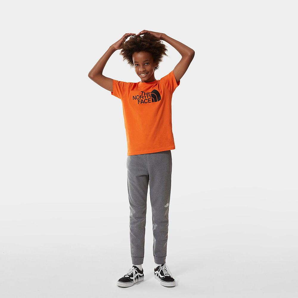Tricko The North Face Easy Kratke-Sleeve Chlapcenske Červené | GCF-693804