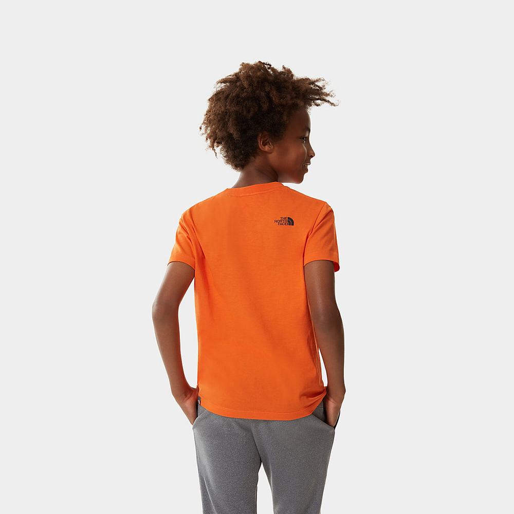 Tricko The North Face Easy Kratke-Sleeve Chlapcenske Červené | GCF-693804