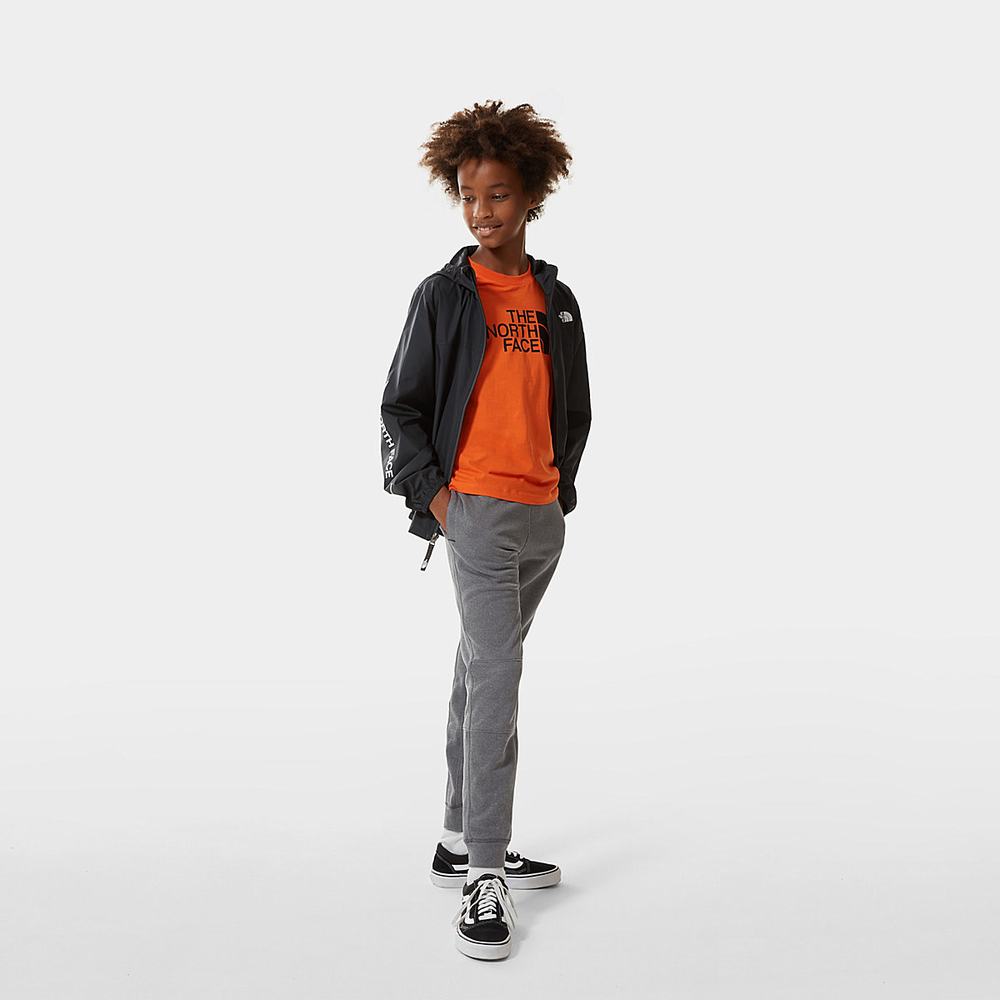 Tricko The North Face Easy Kratke-Sleeve Chlapcenske Červené | GCF-693804