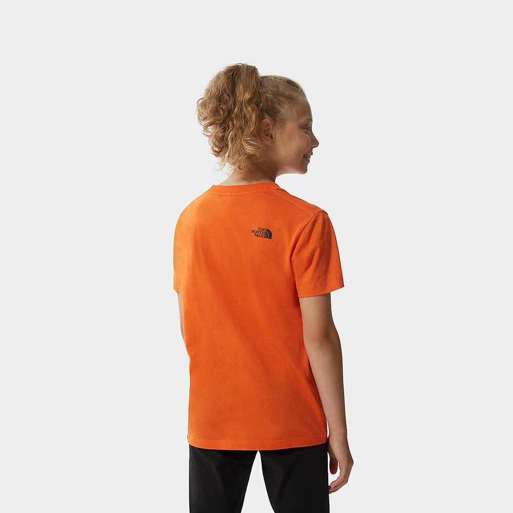 Tricko The North Face Easy Kratke-Sleeve Chlapcenske Červené | GCF-693804
