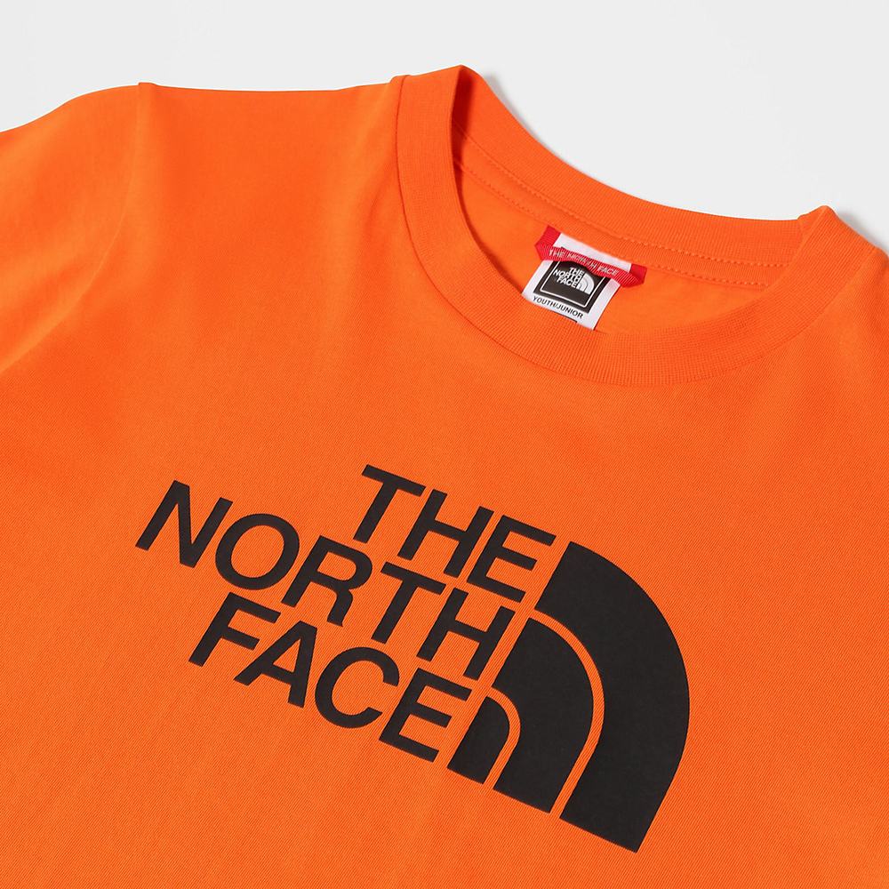 Tricko The North Face Easy Kratke-Sleeve Chlapcenske Červené | GCF-693804