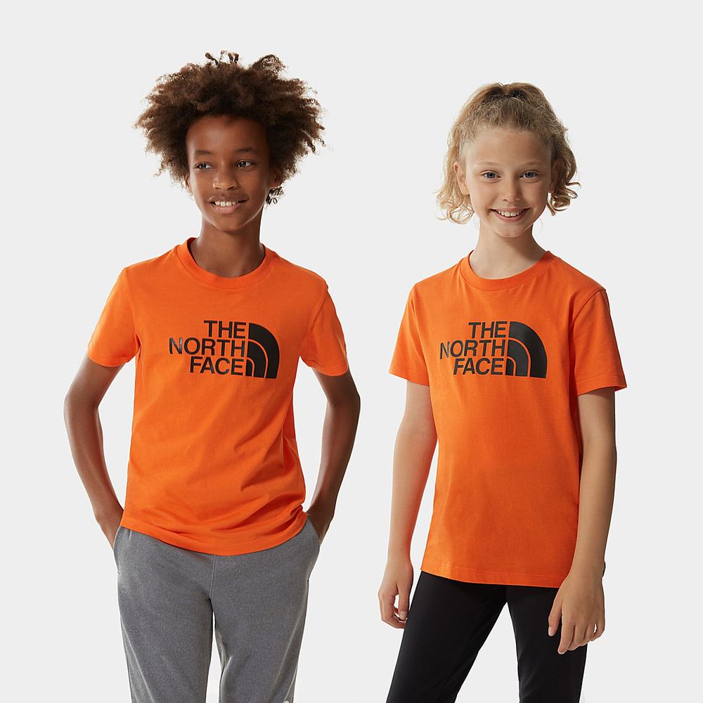 Tricko The North Face Easy Kratke-Sleeve Chlapcenske Červené | GCF-693804