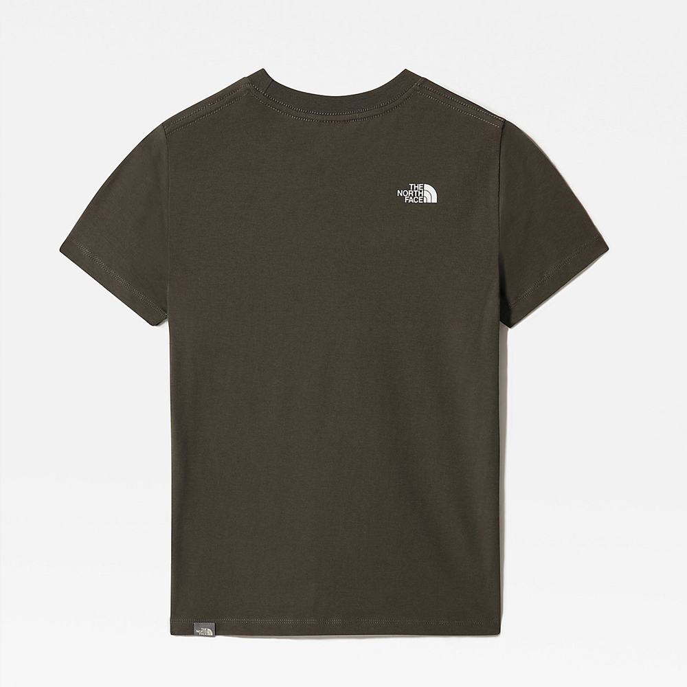 Tricko The North Face Easy Kratke-Sleeve Dievcenske Zelene Biele | MRN-879526