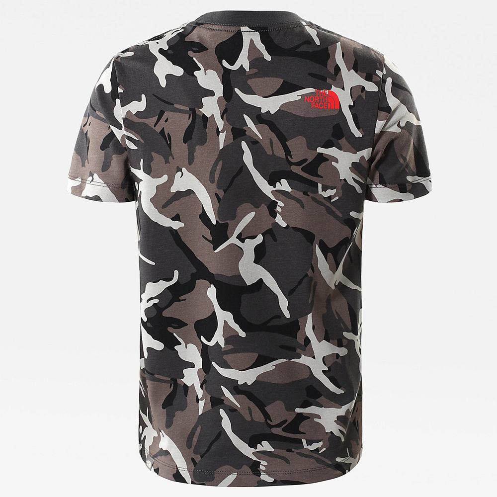 Tricko The North Face Easy Kratke-Sleeve Dievcenske Siva Maskacove | RVQ-182964