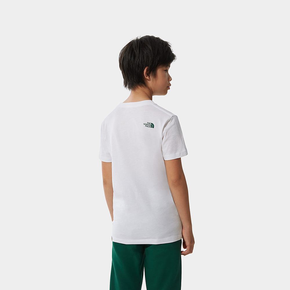 Tricko The North Face Easy Kratke-Sleeve Chlapcenske Biele Zelene | ZXU-453712